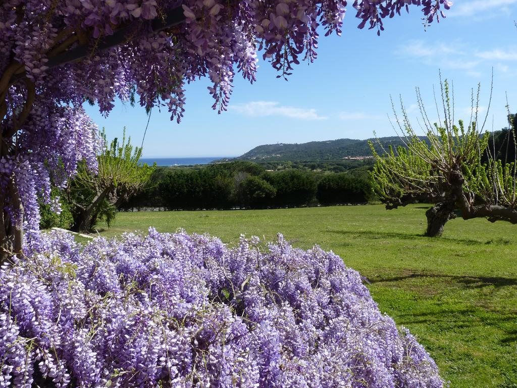 Residence Les Sellettes Σαιν-Τροπέ Εξωτερικό φωτογραφία